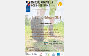 Marche à Ogeu